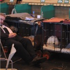 Crufts_2009_016