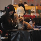 Crufts_2009_018