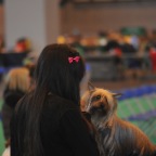 Crufts_2009_020