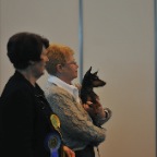 Crufts_2009_029