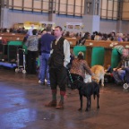 Crufts_2009_040