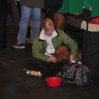 Crufts_2009_042