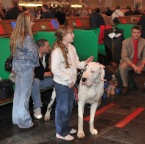 Crufts_2009_048