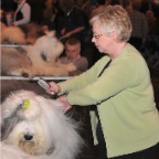 Crufts_2009_050