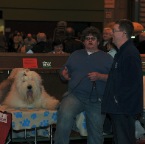 Crufts_2009_051