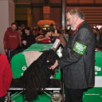 Crufts_2009_056