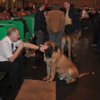 Crufts_2009_057