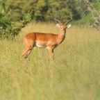 kenia_tanzania_004