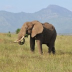 kenia_tanzania_009