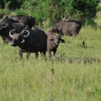 kenia_tanzania_017