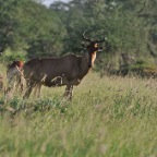 kenia_tanzania_018