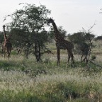 kenia_tanzania_023