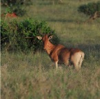 kenia_tanzania_025