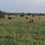 kenia_tanzania_027