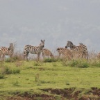 kenia_tanzania_038