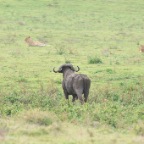 kenia_tanzania_040