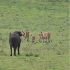 kenia_tanzania_043