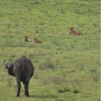 kenia_tanzania_047