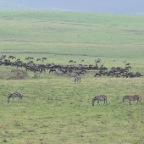 kenia_tanzania_050