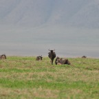 kenia_tanzania_056