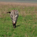 kenia_tanzania_059