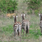 kenia_tanzania_064