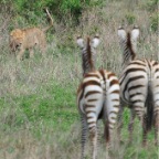 kenia_tanzania_065