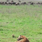 kenia_tanzania_076