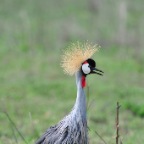 kenia_tanzania_080