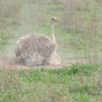 kenia_tanzania_090