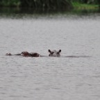 kenia_tanzania_096