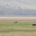 kenia_tanzania_107