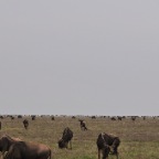 kenia_tanzania_135