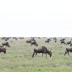 kenia_tanzania_137