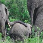 kenia_tanzania_139