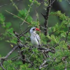 kenia_tanzania_140