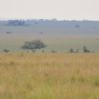 kenia_tanzania_149