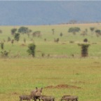 kenia_tanzania_155