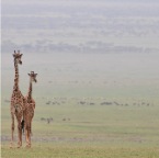 kenia_tanzania_177