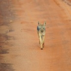 kenia_tanzania_185