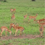 kenia_tanzania_194