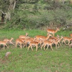 kenia_tanzania_196