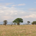 kenia_tanzania_201